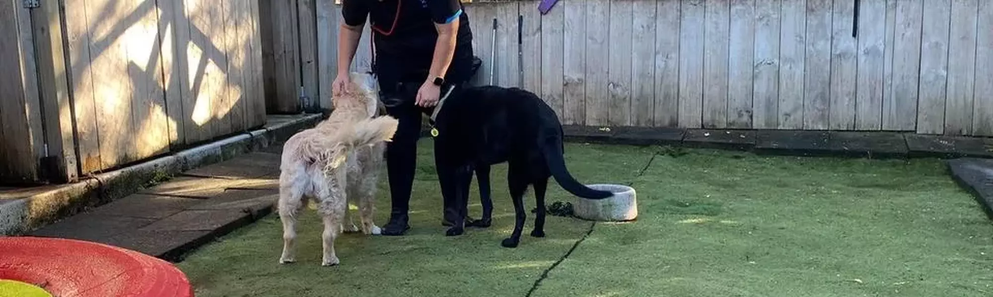 It allows you to feature various items